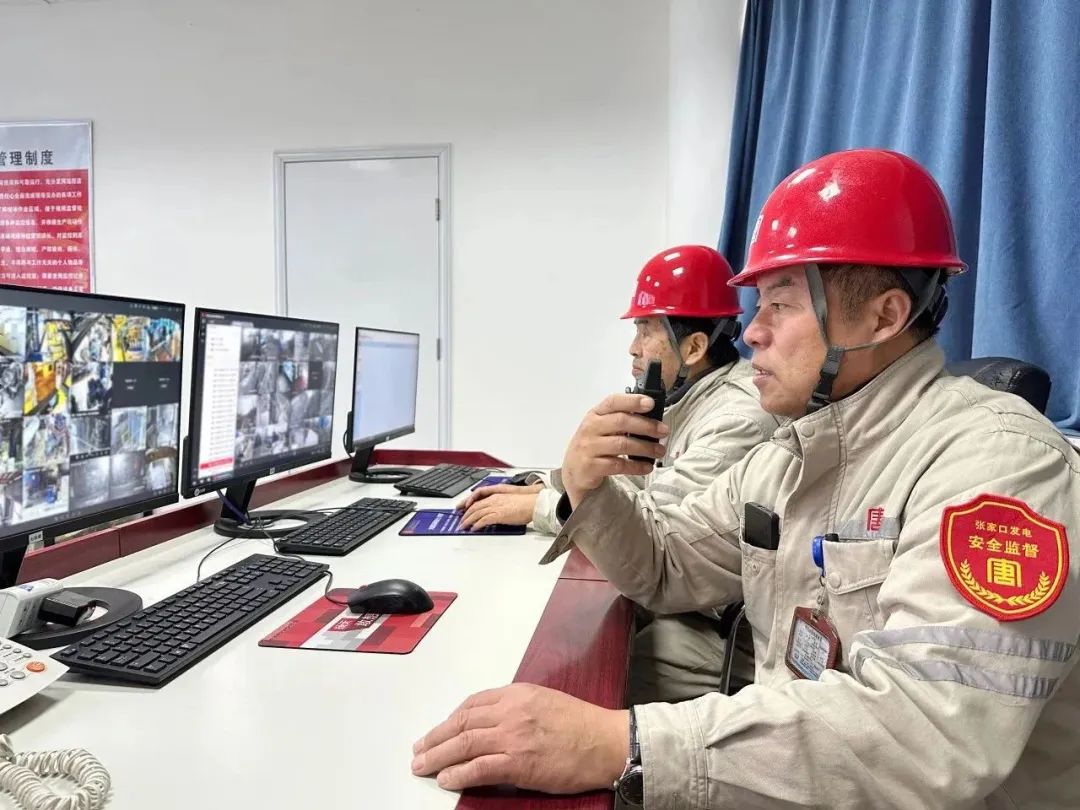 1704243295670075352.jpg 张3.jpg