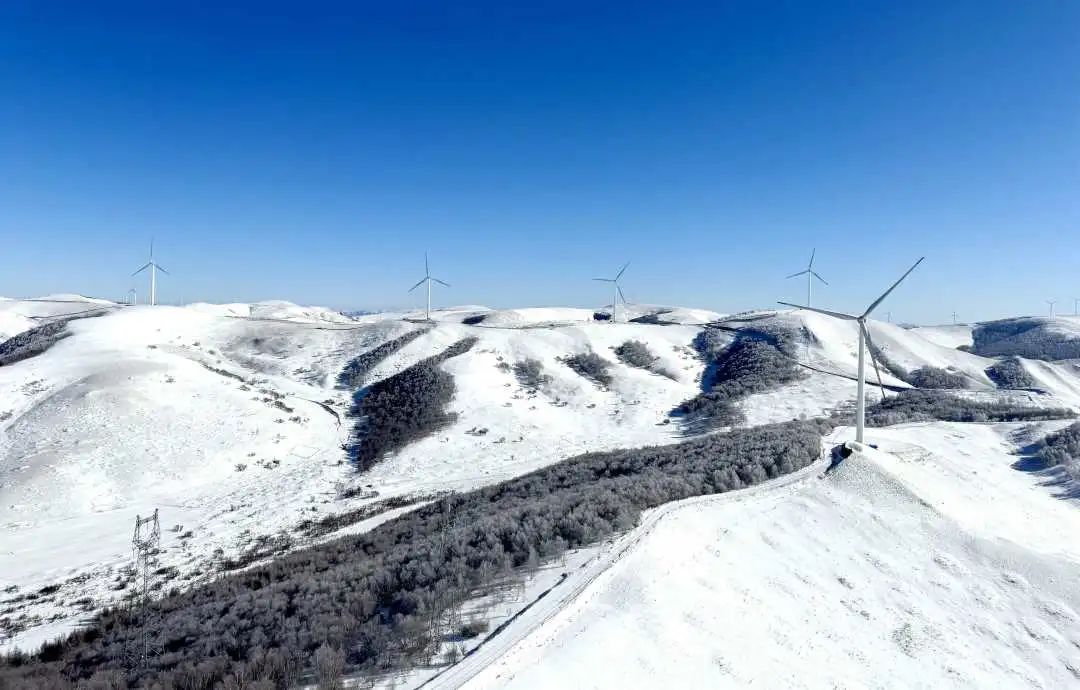 1705020905112063839.jpg 5.jpg