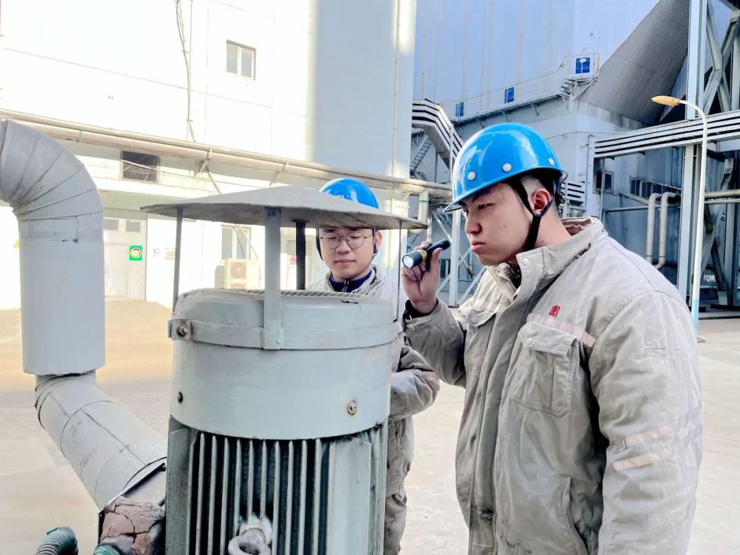 1705971673699064084.jpg 009丰1.jpg