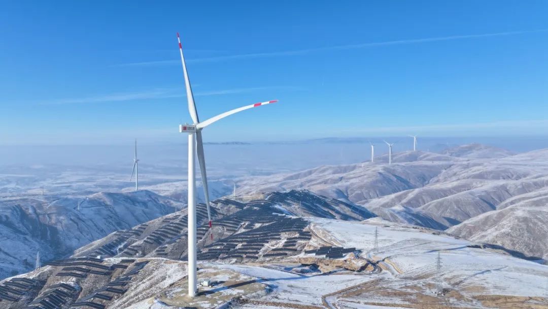 1710835623220069735.jpg 640 (1).jpg