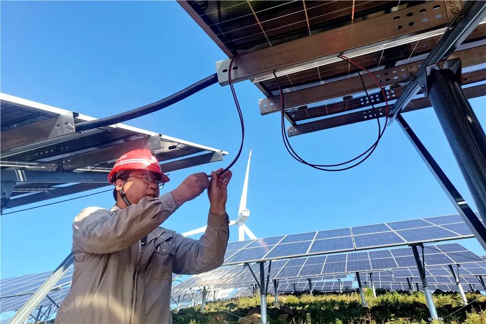 1728981933536057500.jpg 0002.jpg