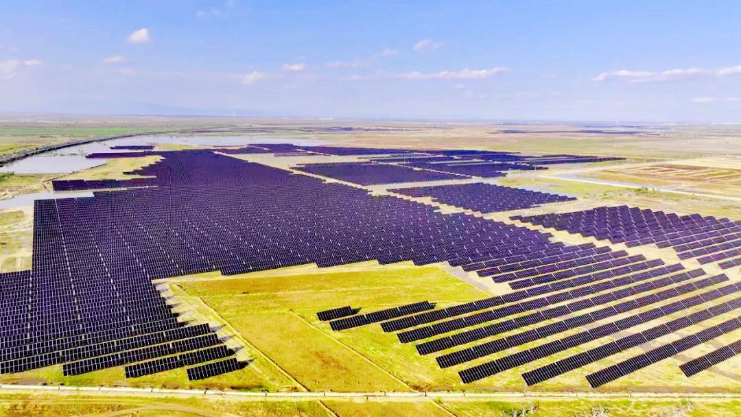 1729473273786047348.jpg 0007.jpg