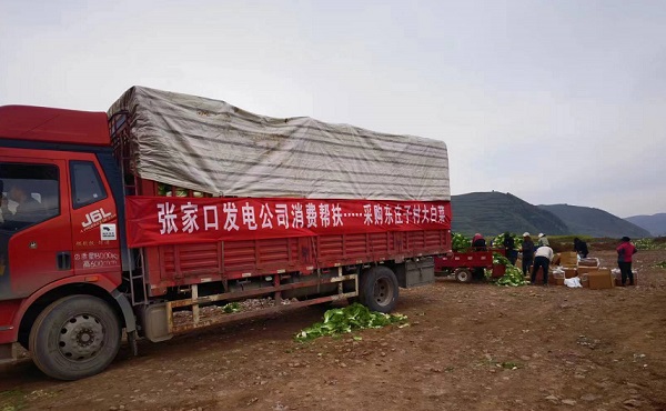 1733209766289031090.jpg 消费帮扶大白菜2.jpg