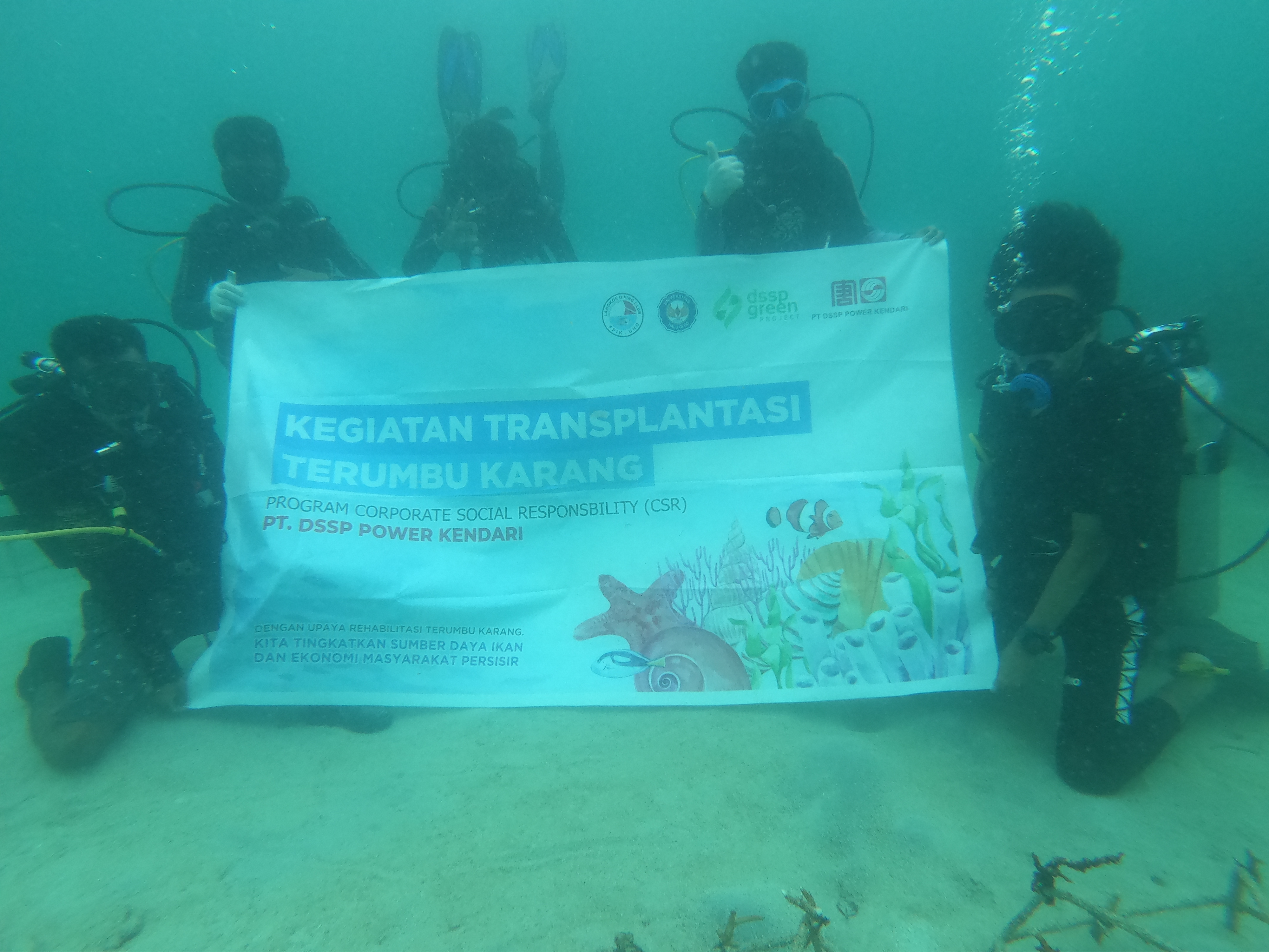 在印尼苏拉威西省，球王会电厂发起附近海域“珊瑚礁修复长期生态保护计划”.jpg