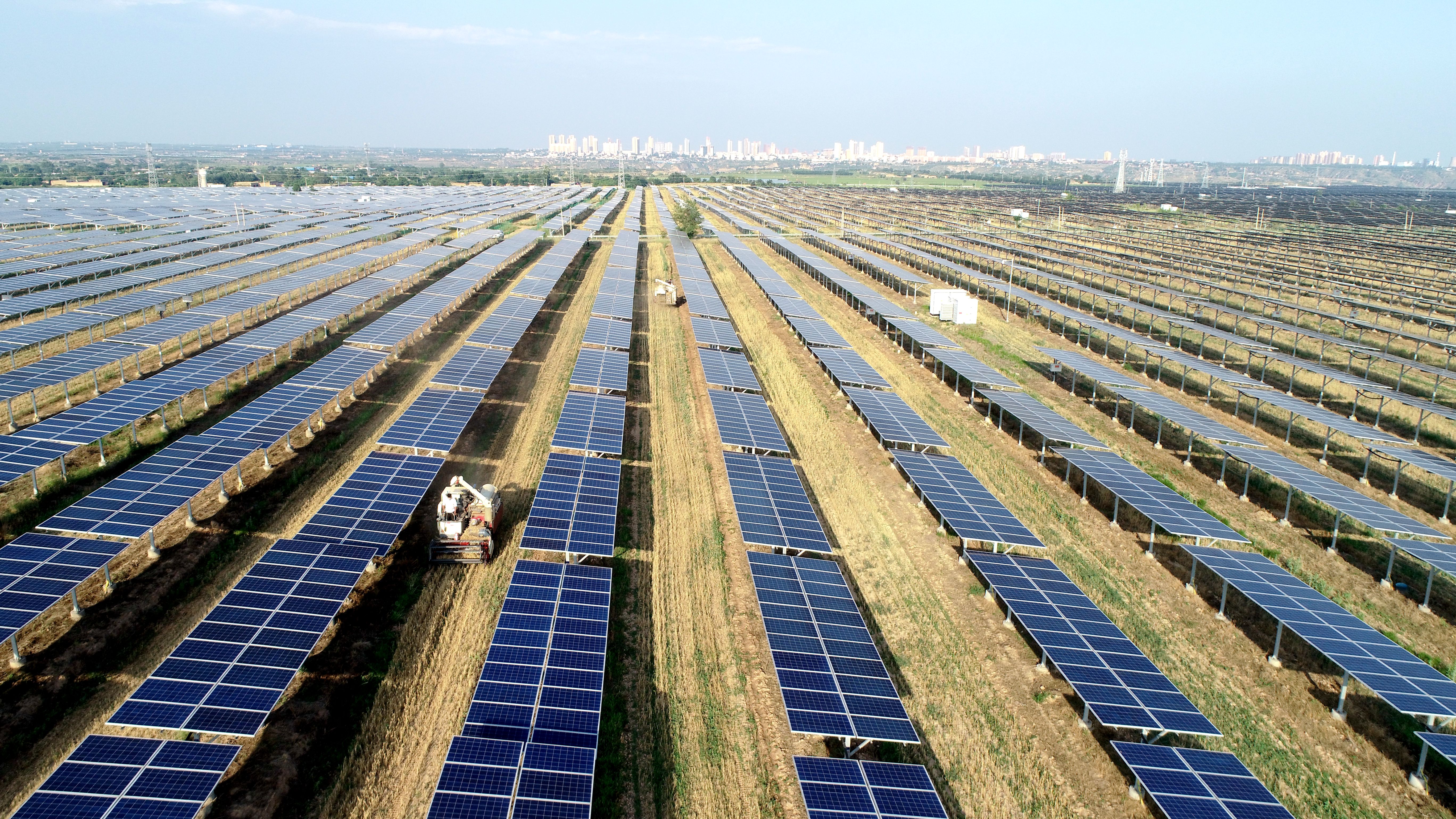 1662444545147064382.jpg 2.球王会澄城安里10万千瓦农光互补光伏电站采取“农光互补”模式,不仅大大提高土地综合利用率,还带动当地村民在家门口就业,促进农民增收。任永红摄 .jpg