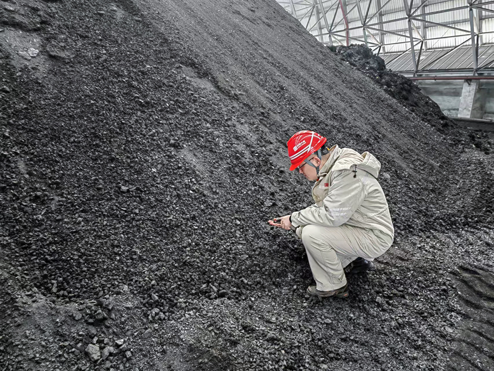 1708326141065028921.jpg 3-球王会东营发电公司职工查看煤炭煤质情况a.jpg