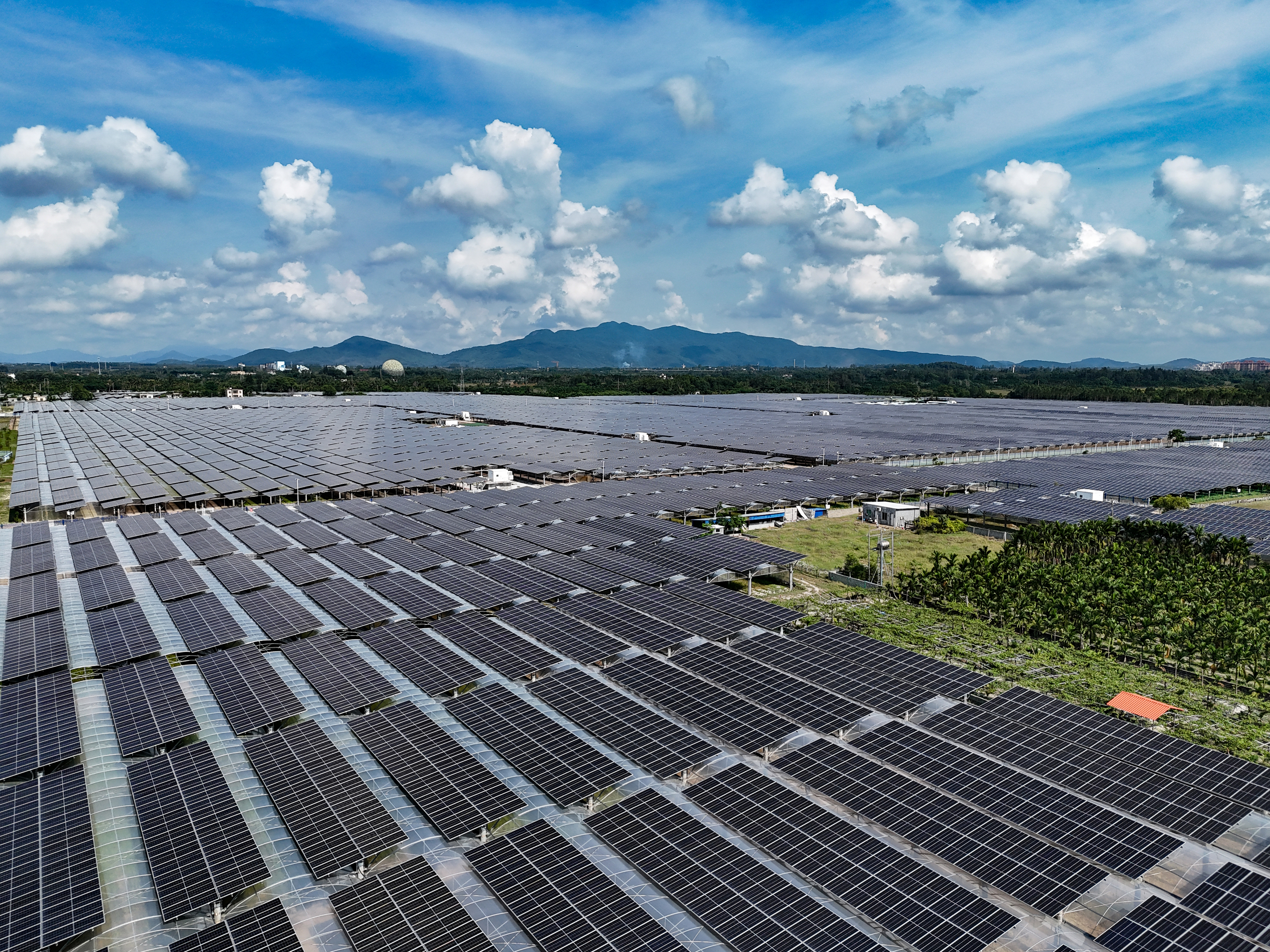 1723014972039066064.jpg 光伏种植区 (2).jpg