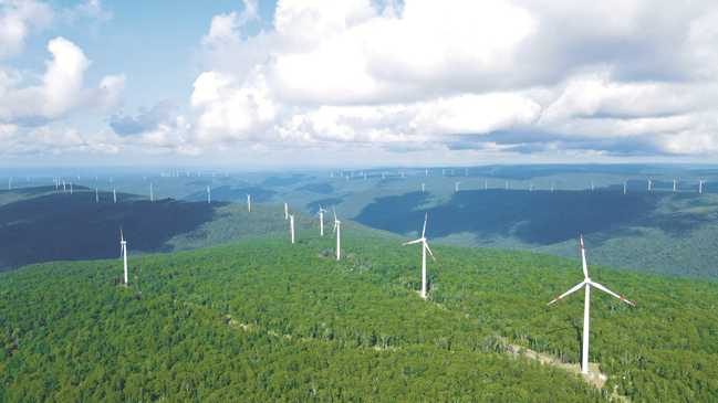 1728725361281031370.png 7.png