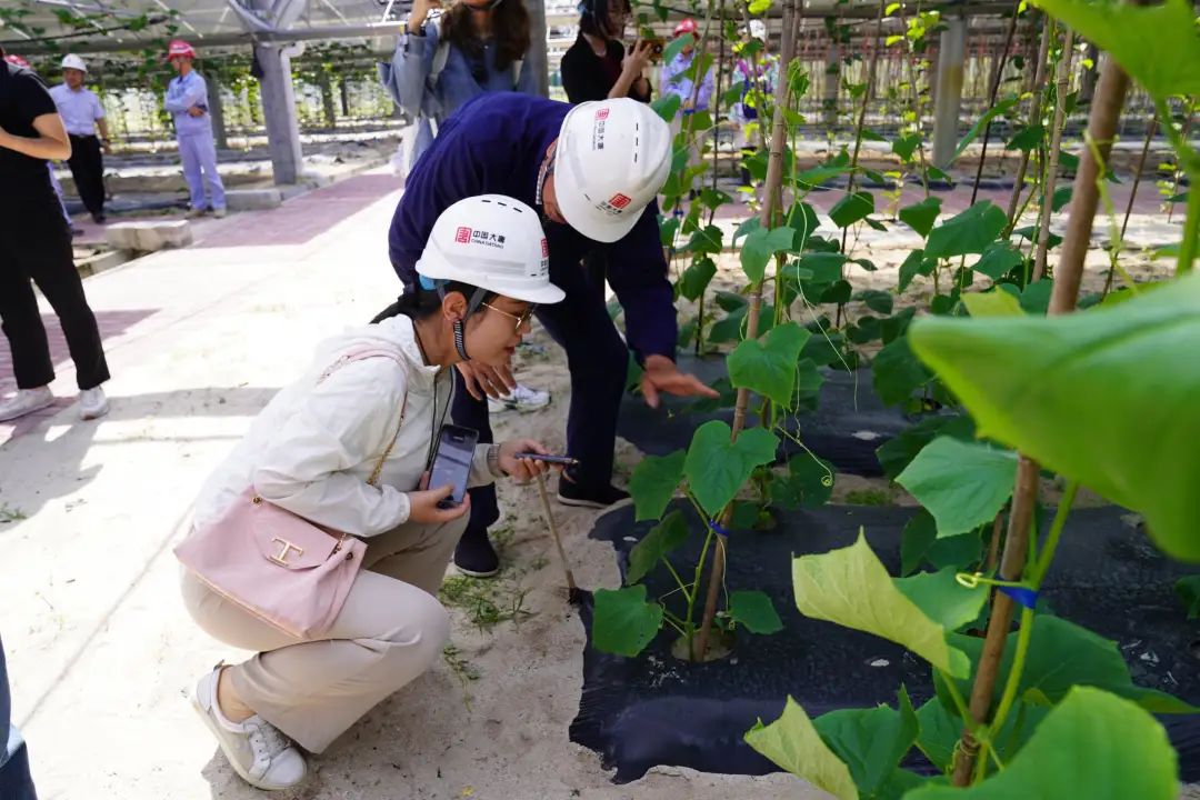 1730096014605061951.jpg Y.jpg